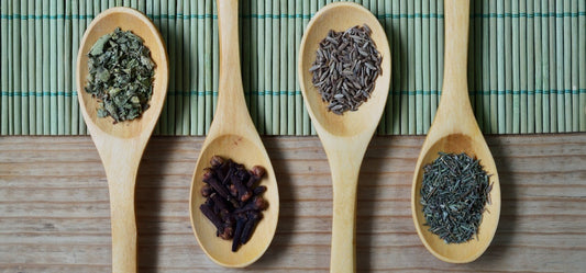 Four wooden spoons with different dried herbs in them.