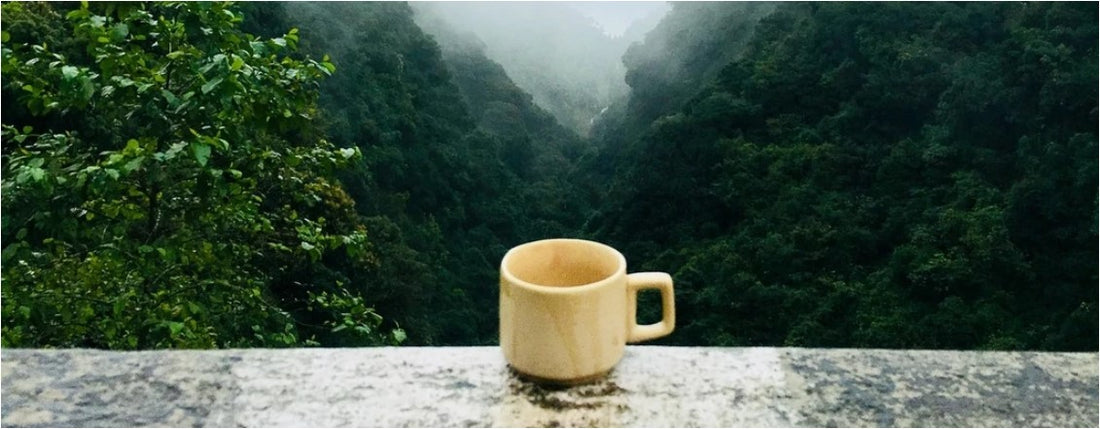 A teapot and a teacup, with steam coming out of both.